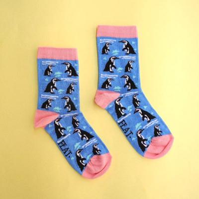Kid's Penguin Socks