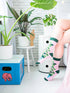 Pilea Socks